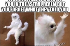 qs408