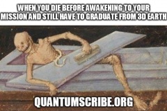 qs49