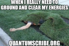 qs52