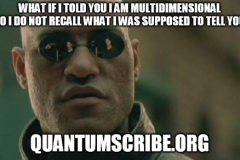 qs59