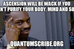 qs73