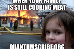 qs87